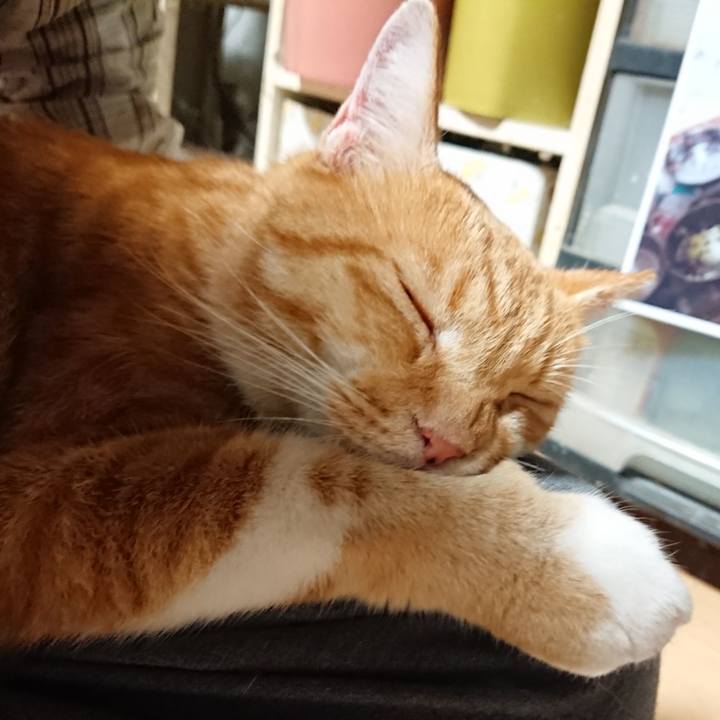 2b741c96 baa7 48b2 809f becafc891cce 1600894631725