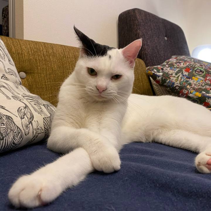 2b74204a 6552 49ab 9ac4 9f0279a4932c 1686667042936