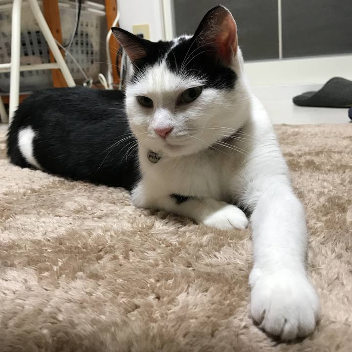 2b7448e4 f3ac 49c4 8b63 fe79ca06d086 1512565155147