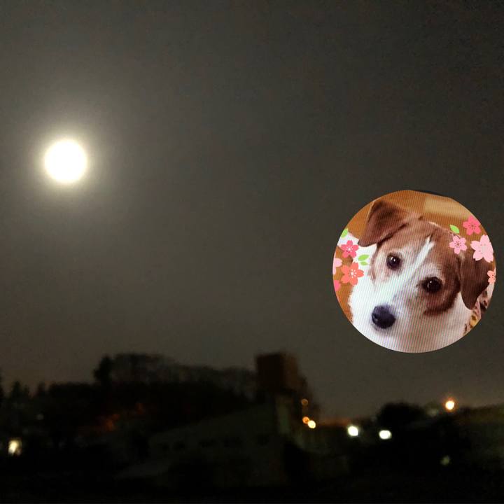 2b746628 cc23 43e0 829f 84b850caca50 1542971474243