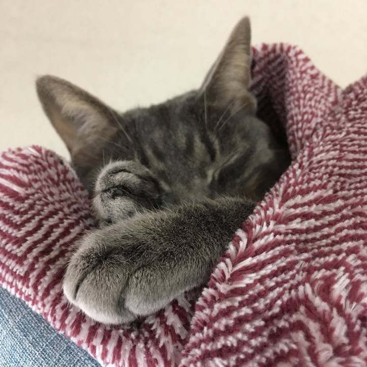 2b74929d 3fba 4fcd 831c aabf3240e8ad 1508544714615