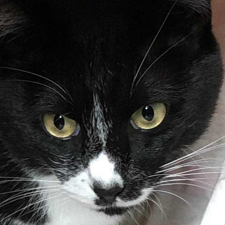 2b74a95f f8fe 4ea3 bc05 695ec3b00747 1599276444652