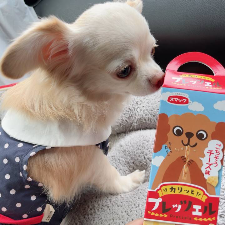 2b74ea5d 7bc9 43f6 9c84 11e7c2bb3d5b 1729933957086