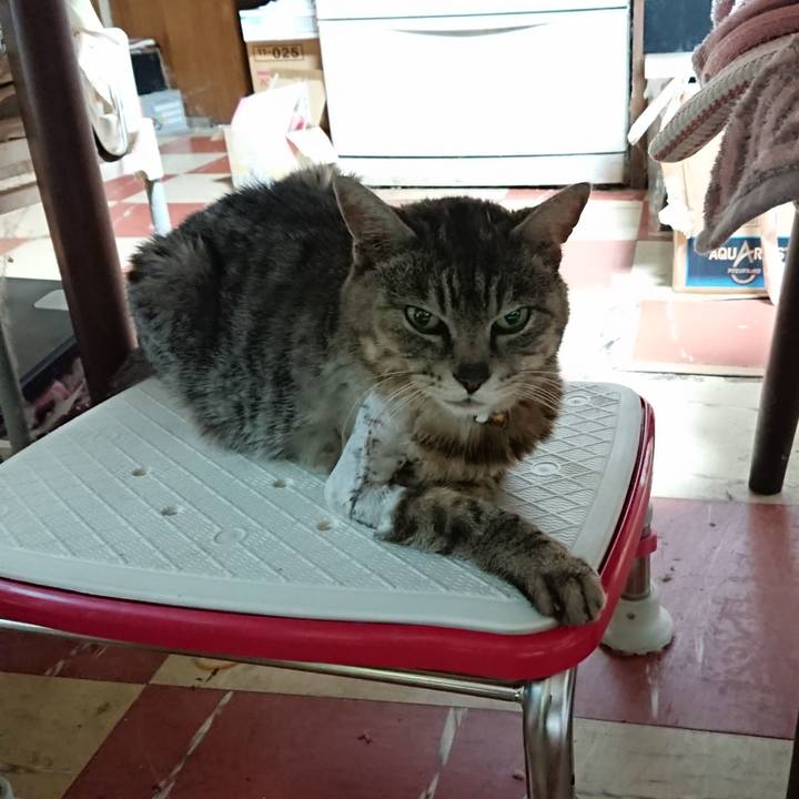 2b74fd77 b4c7 4b9d 8b2a f36f4acb3d38 1589065937536