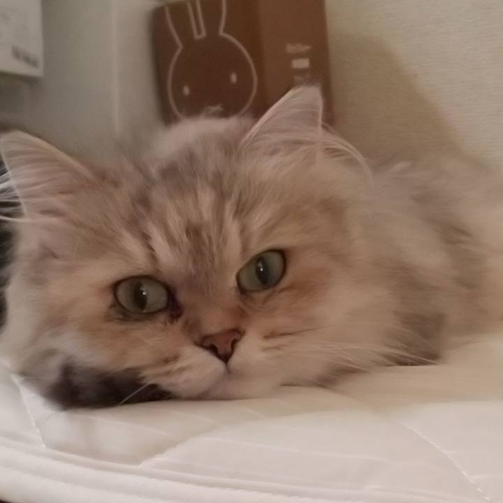 2b752cd1 29d6 4926 ac19 0d2661e2a900 1631247658038