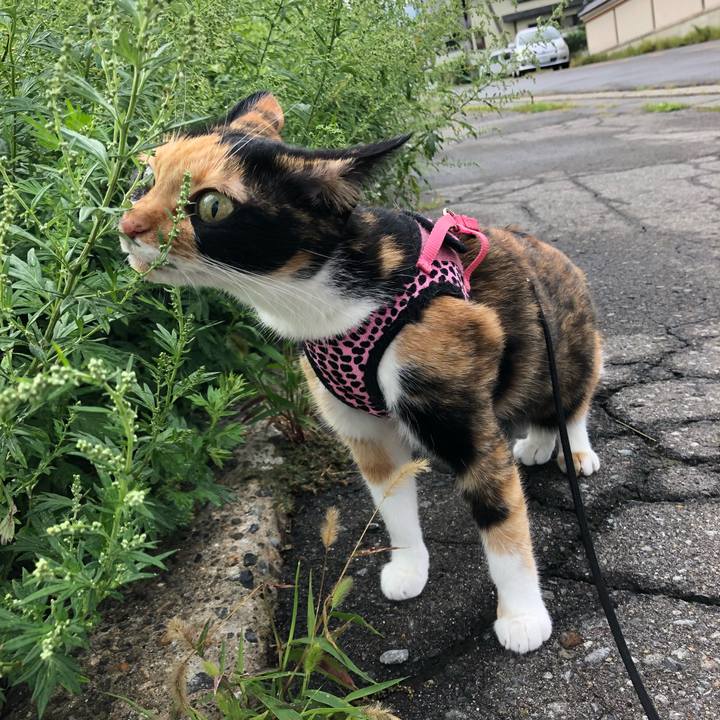 2b7588f7 9c0e 4516 8371 f73e5cc65f4e 1536273990223