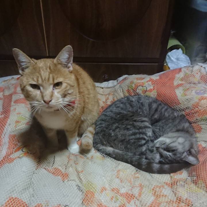 2b7598d3 7aa9 4ee7 bc87 8bacb95dfbc1 1572265577100