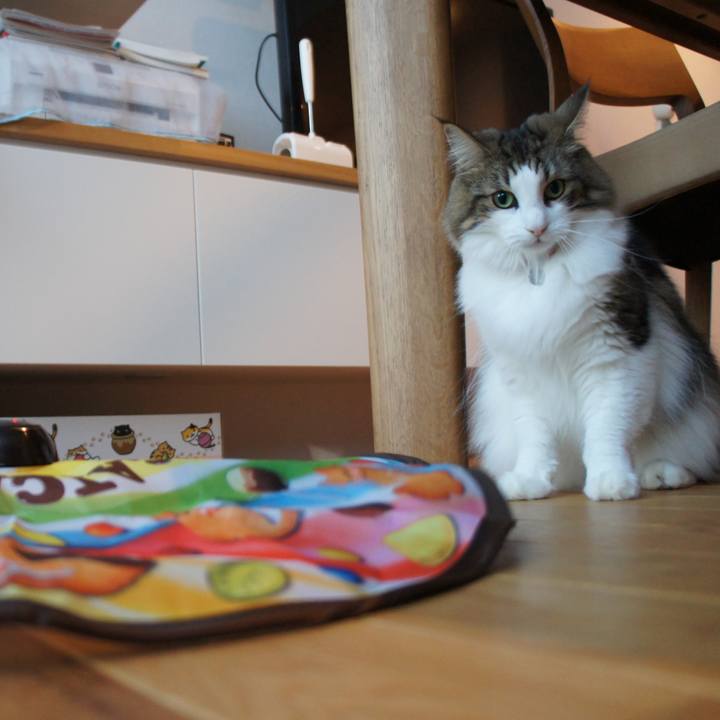 2b75b176 fa19 4bcf 8035 85b2e7d80e5d 1541063843803