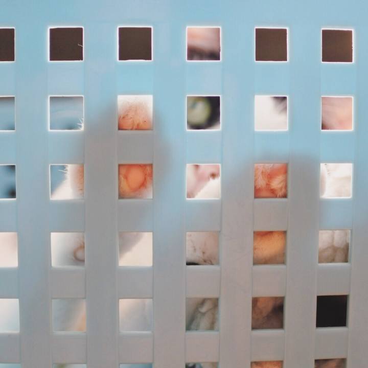 2b75cbde 3563 4b49 aa5d 0a3d66a39709 1536382819308