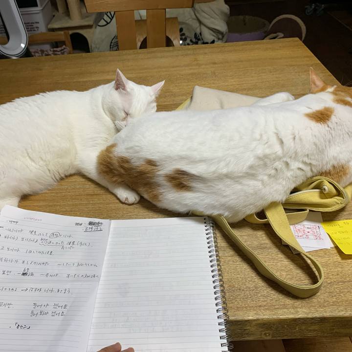 2b75d001 2352 4a32 afd3 2a64932d3b5f 1631912892338