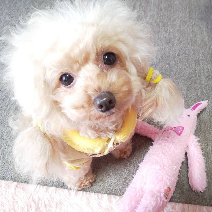 2b75d83b d317 42f0 9867 ef883590f3b5 1576584612256