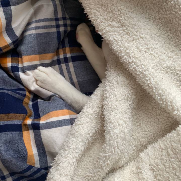 2b76103d a4b0 465d b4ac ec2312e0b4d8 1556330160435