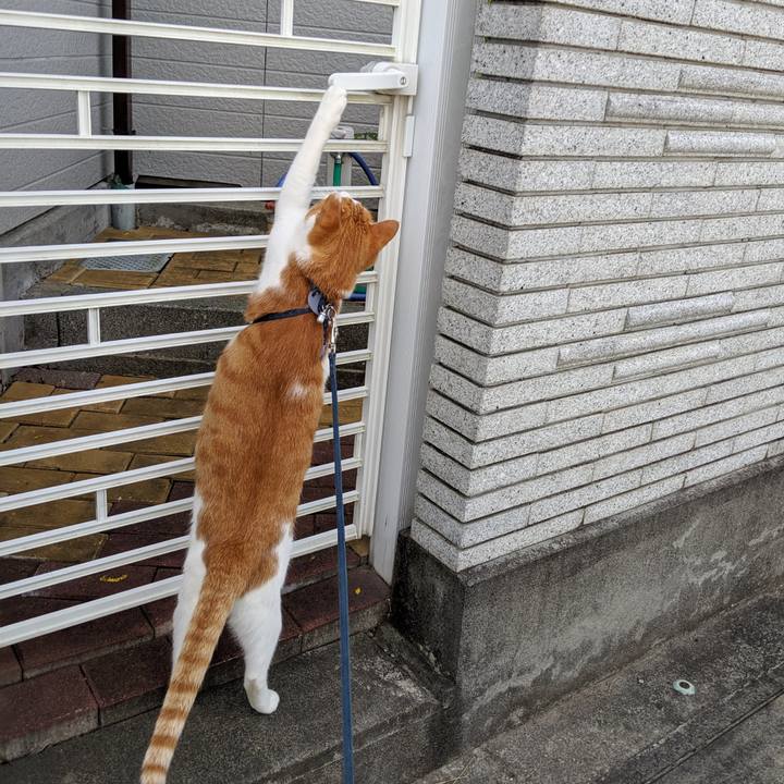 2b761260 7bc3 446a 83d4 7f4245e43079 1566779976279