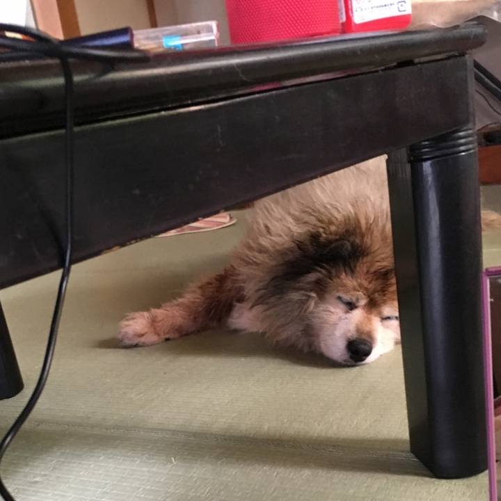 2b761aae f1d5 4c46 8129 0fff28040d94 1574902791112