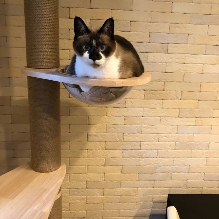 2b763159 b201 427c a668 04227597096e 1632942383090