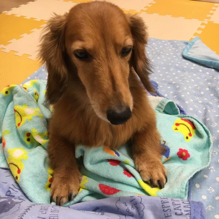 2b76430e 5a88 488c 81cf 0a181d2a167f 1595856253719