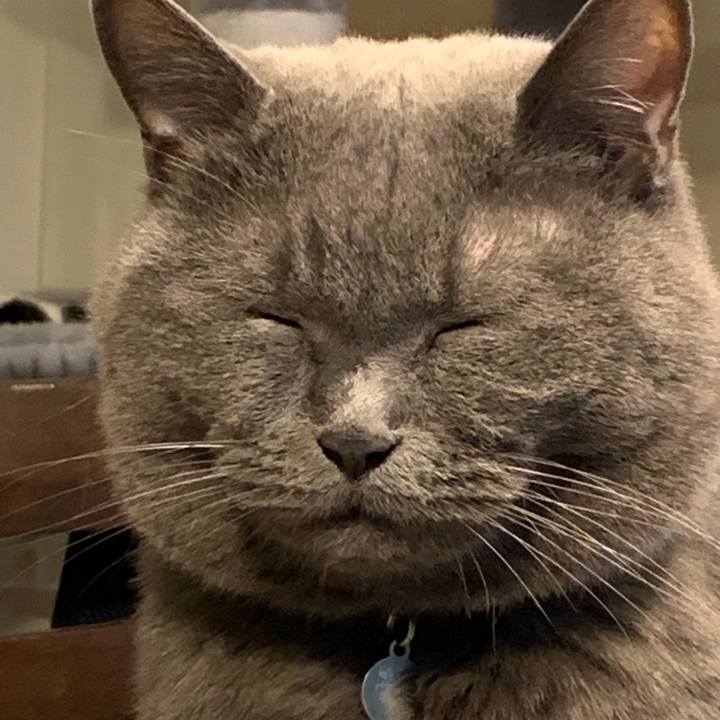 2b764bd2 0c66 46d3 8ffc efa43eae5d54 1667606618047