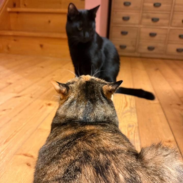 2b766c5c aeef 443f a741 fdcf8364b844 1768040345515