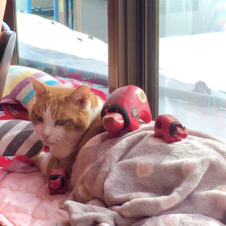 2b766c79 b396 4574 9c41 8dbe9222c91f 1610263327803