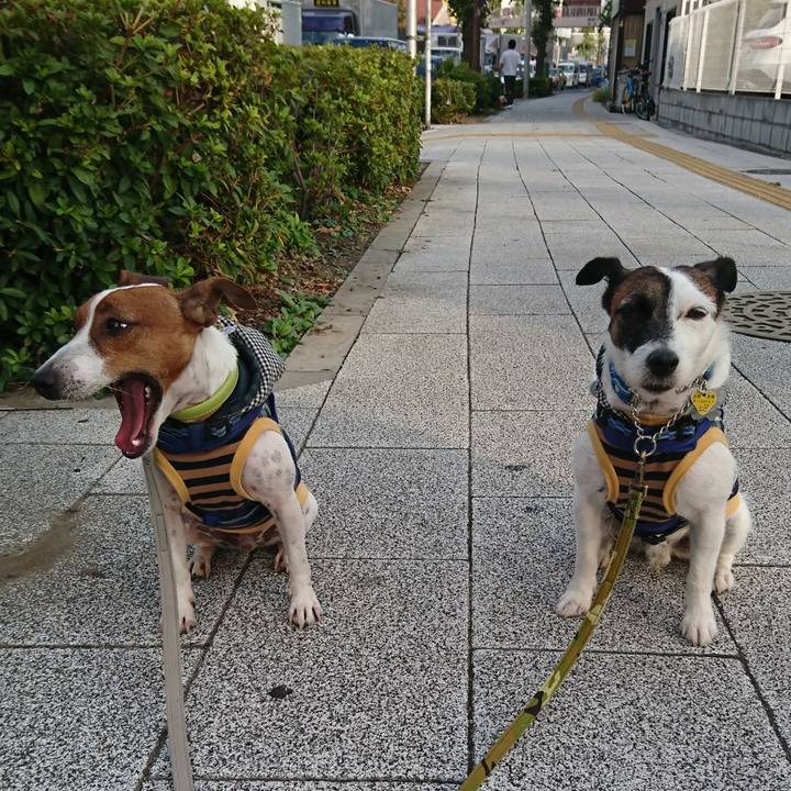 2b76748b 4401 4a1e ad4c 4b36b2ebeee5 1569880305586