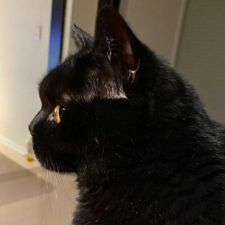 2b768203 68f6 4ec1 92fe 59f25ec3f755 1715085961518