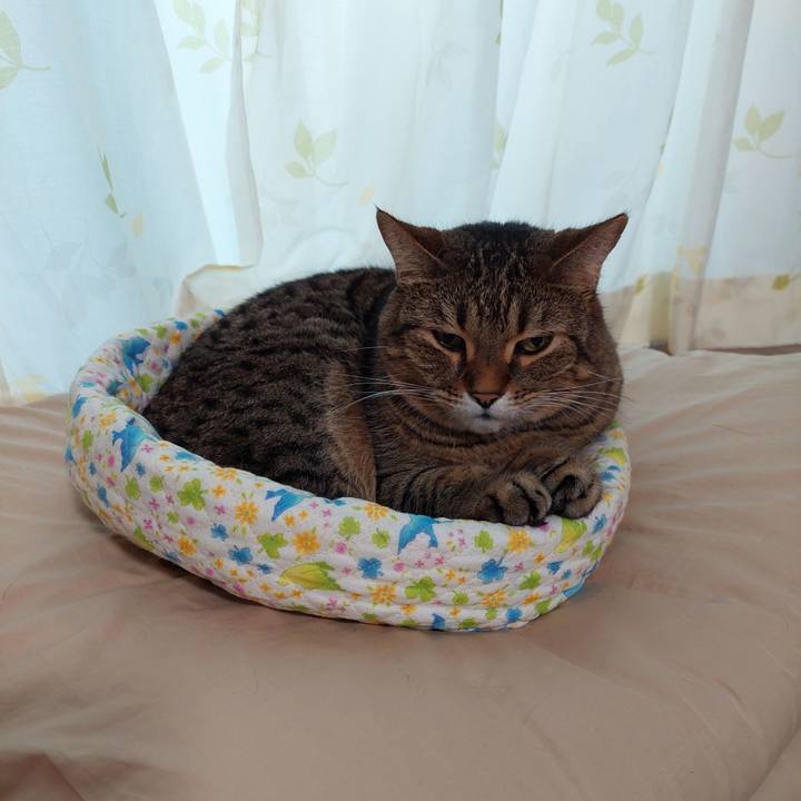 2b769453 a566 4790 8f99 b47dbe2a86d1 1630967732396