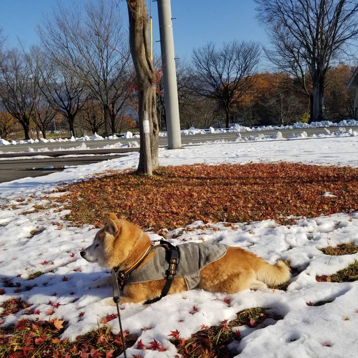 2b76af41 e6d4 4039 87eb 3b93529af361 1701062905076