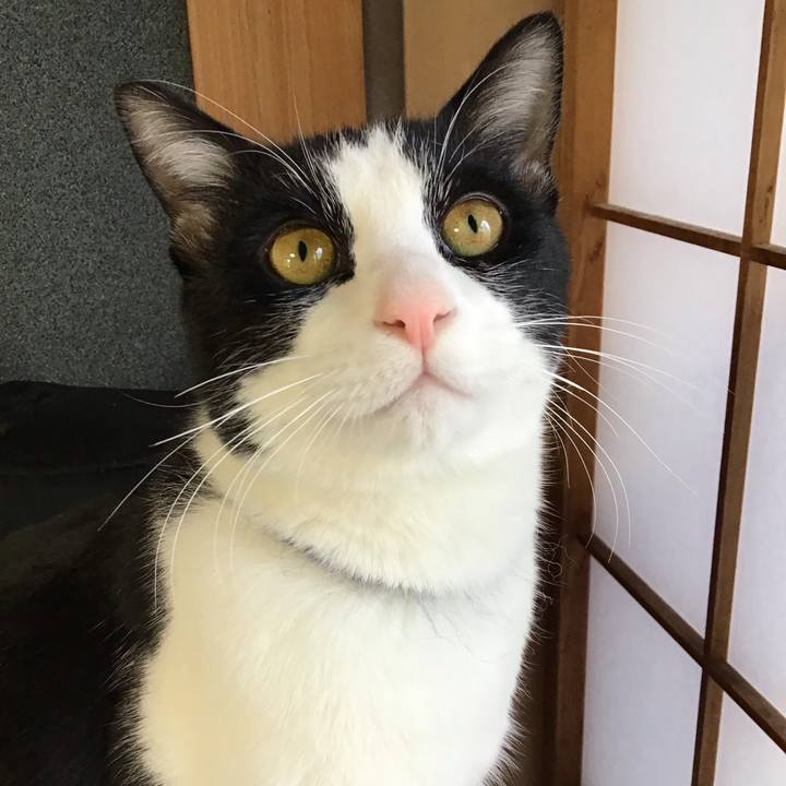 2b76e3b0 e1ec 4922 b9fa 826acdff1569 1644391630934