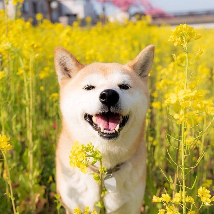 2b77033a b442 4732 a6cb 9275c753ebc6 1554738480583