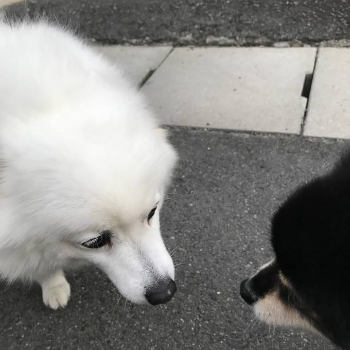 2b77082f 9d64 4fe2 8cf2 e861ef6b4ed6 1541861853038