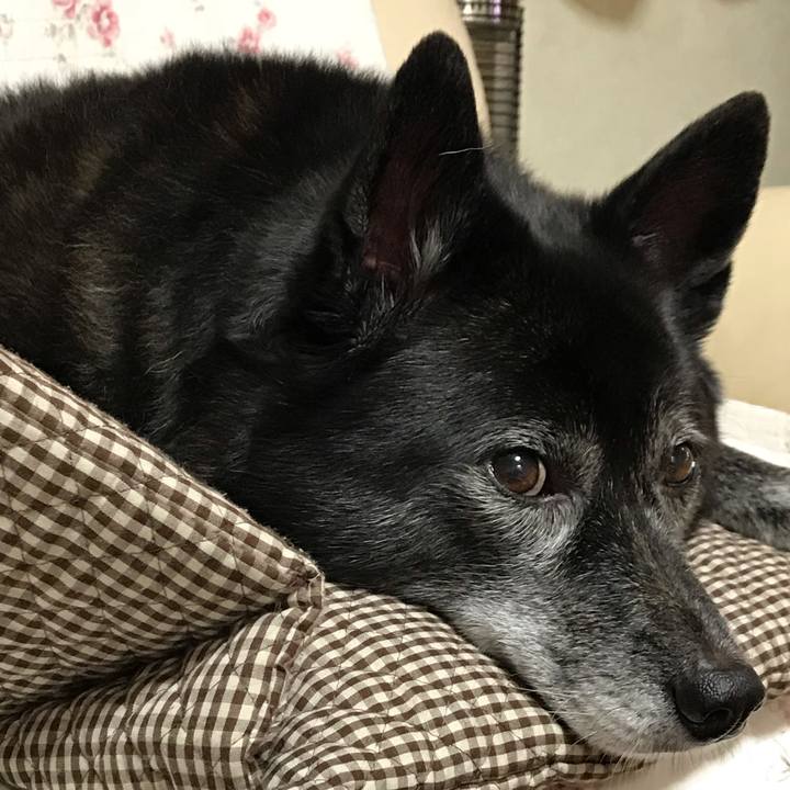 2b770c8a f5e9 40c6 a9c3 94442338457d 1549369424782