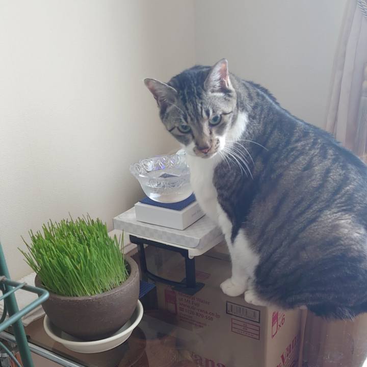 2b7749b6 9005 4b38 9eec cf6038898d93 1698546875430