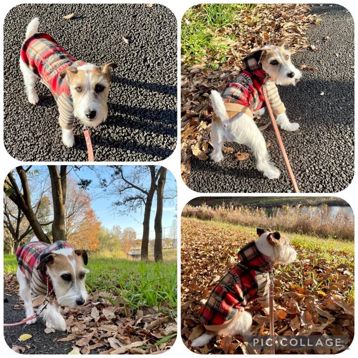 2b77729d 50a2 463f a304 6303c5dafab5 1670837358022