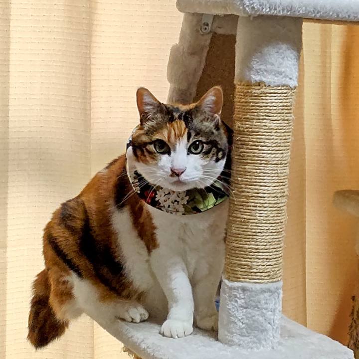 2b77b508 c64a 4eca ac97 da5887260b68 1647563292722