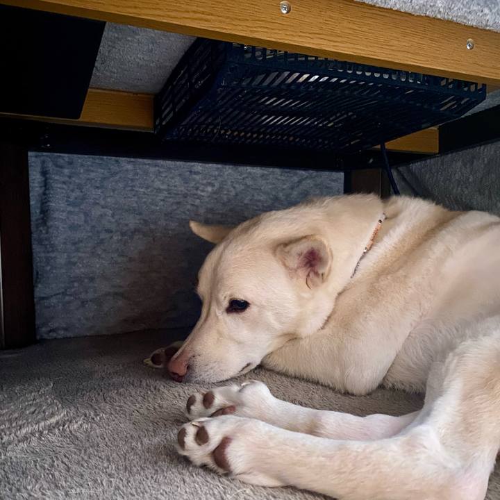 2b77c2aa 432c 4644 a423 544d65108724 1772582418096