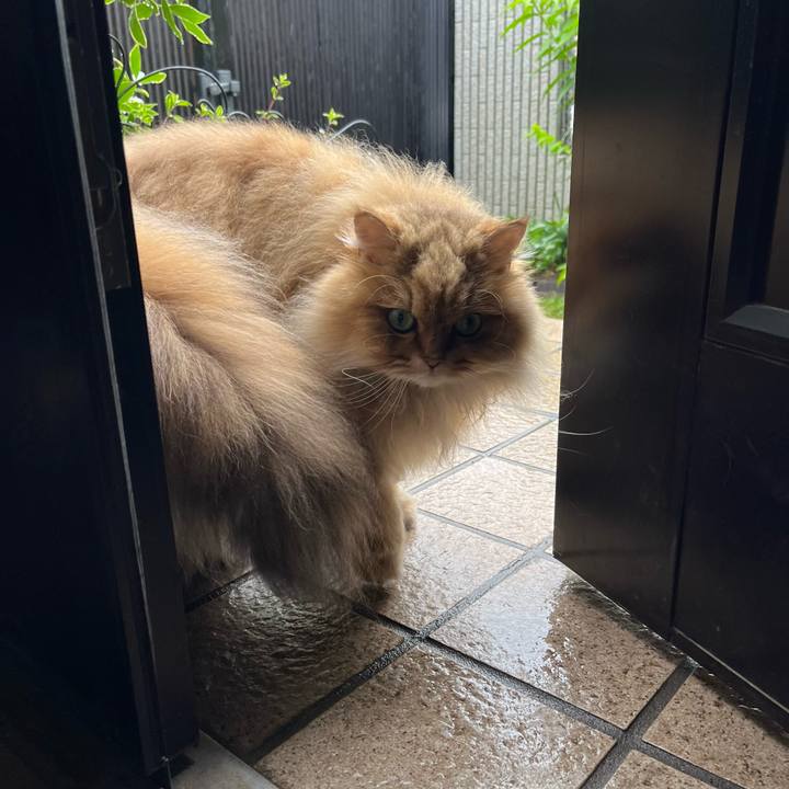 2b787d98 3e85 45a7 b114 83d94cca7917 1684112748201