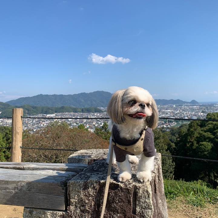 2b789268 af6b 49d2 9e7a 26cdb34ef9af 1635941815527