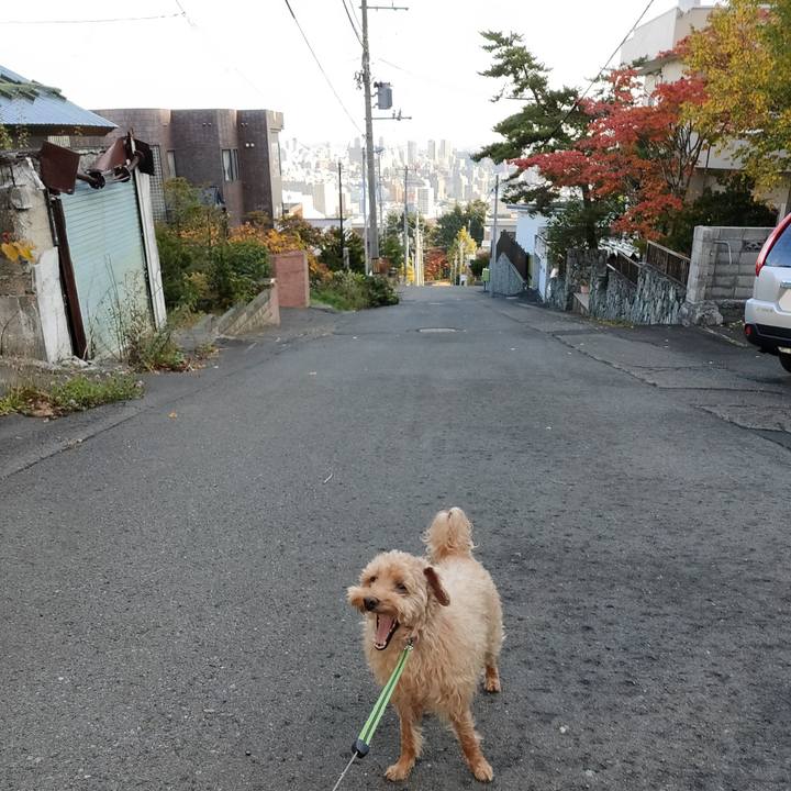 2b789c78 ea7d 4fc7 a037 462d900fde04 1602893123416