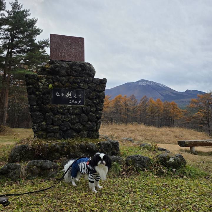 2b78a83d 2b1b 4165 8c78 0f3761ca6174 1763117821835