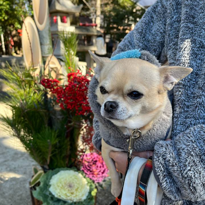 2b78d762 d650 4dc2 8ec4 a97b7d4dad5a 1641187288628