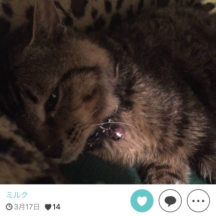 2b78f98d 252e 4209 8785 51843c8c26d7 1511690053584