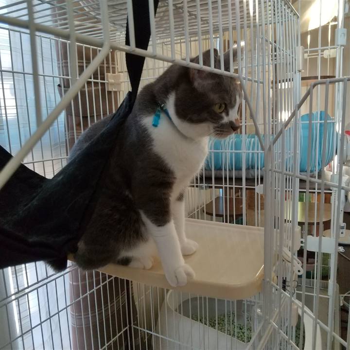 2b79144b 4b6c 4610 81ab 8a50594a117b 1628632901022