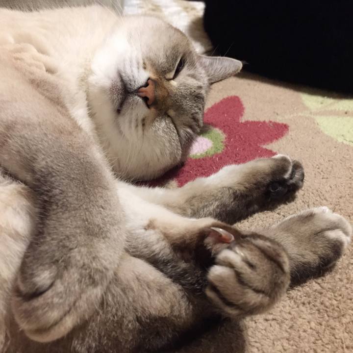 2b795c52 be02 49b2 951b 938341ac0267 1573729975974