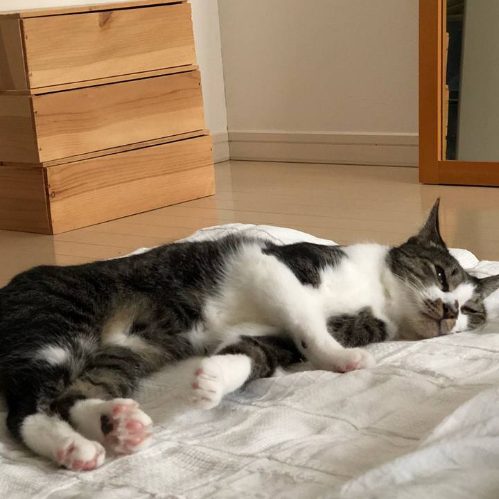 2b796711 7d99 49c4 bb9b 9b1db1a6c144 1534147191136