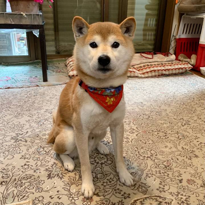 2b79aee8 efa7 4dfe 9e3a d6665263b5e2 1610274915947