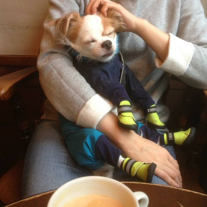 2b79ddb7 e1ee 4119 ad98 2d5ebba33e04 1517122450802