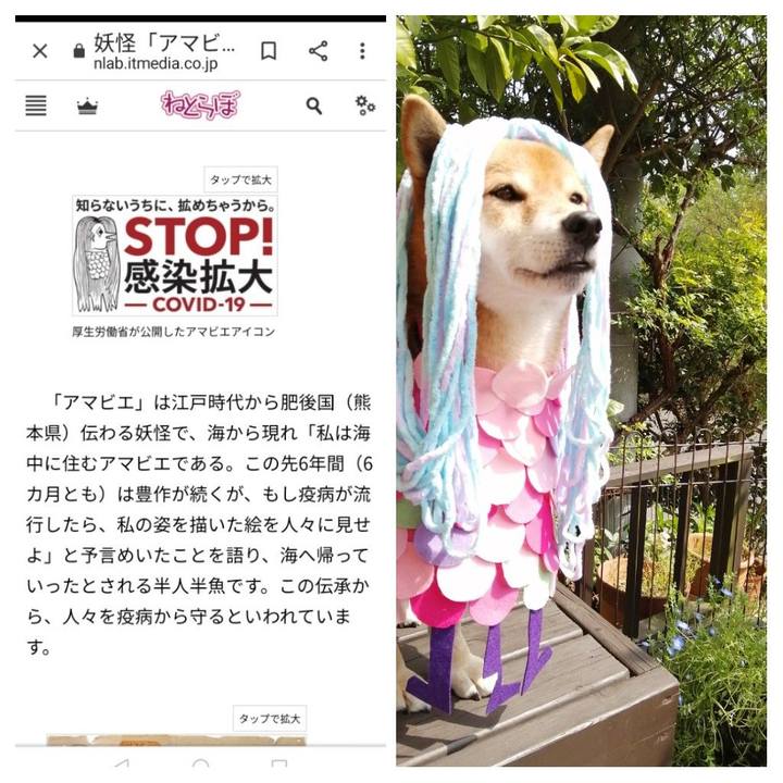 2b7a008d 5f53 4033 b8ad f6fca87b0693 1586429222991