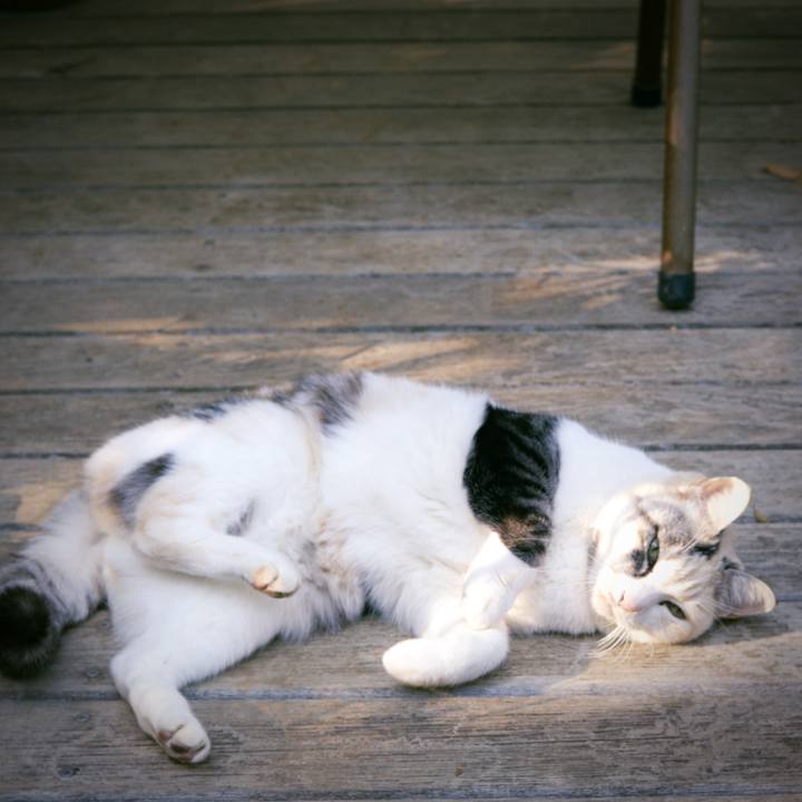 2b7a3d06 9b4a 4b76 80b7 1c388be1800d 1736485795251