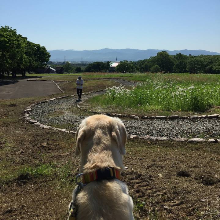 2b7a5527 0bd8 4c7f bb0e 0ceed687805f 1526949944008