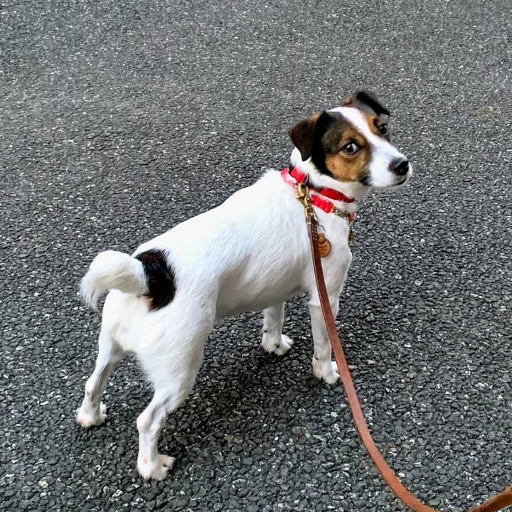 2b7ab027 de0a 4ae9 a99c 2afb9896a8d3 1564742242667